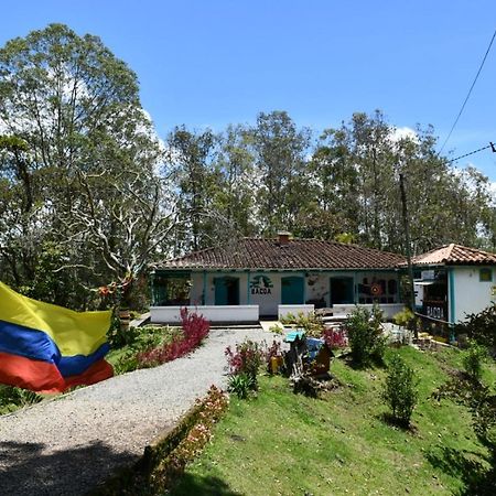 Bacoa Hostel Guatapé Εξωτερικό φωτογραφία